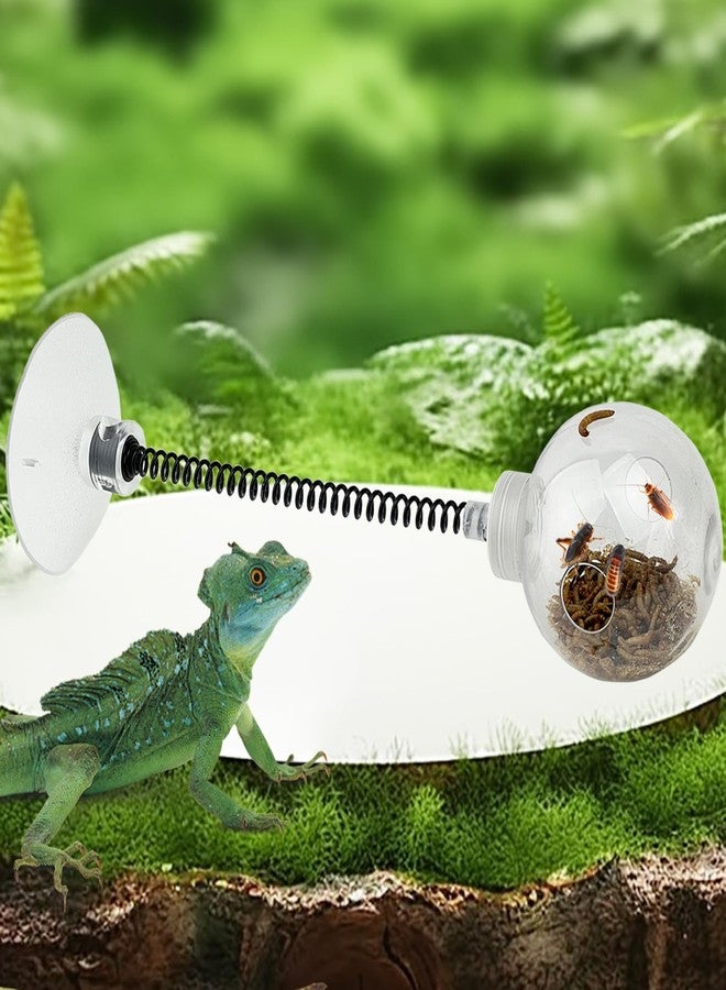 FlidRunest Bearded Dragon Toy Ball with Large Suction Cup, Interactive Bearded Dragon Spring Ball Toy, Reptile Insects Treat Enrichment Feeding Ball Toy for Lizard, Bearded Dragon - Image 3